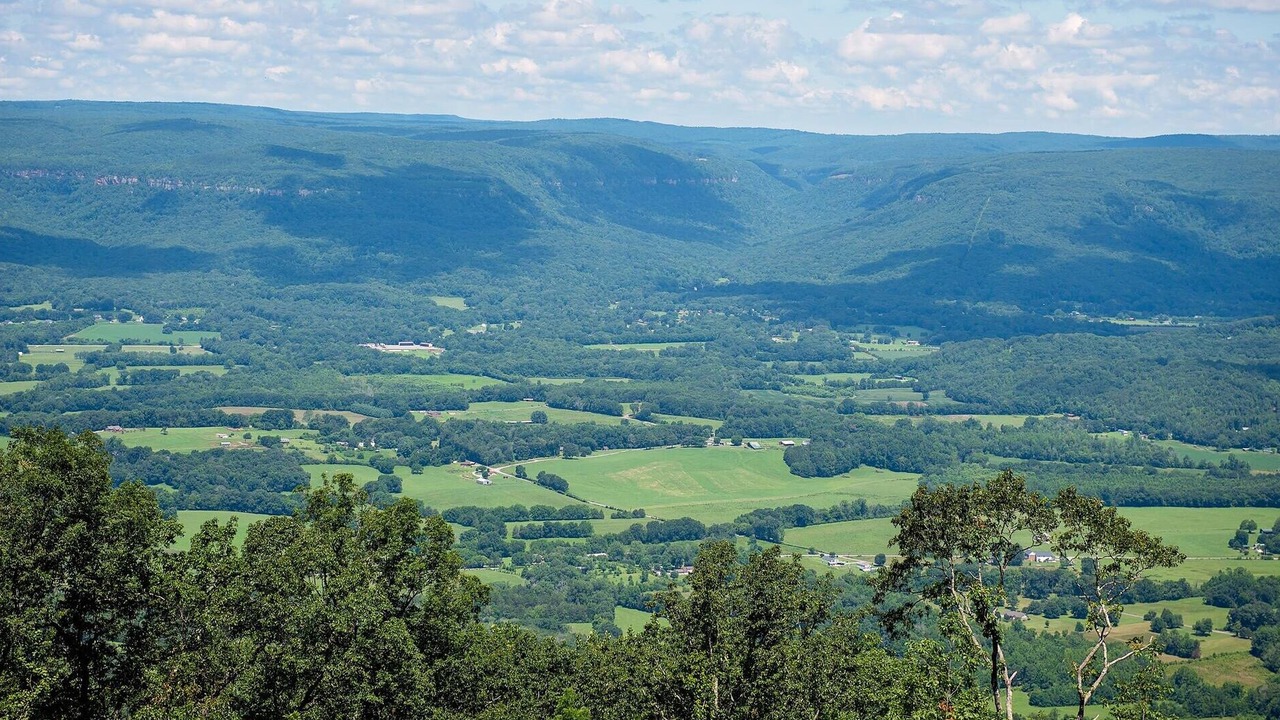 Photo of Others in Lupton City