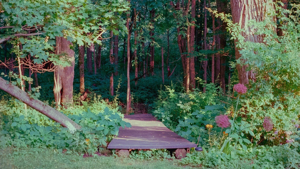 Photo of Outdoor in Town of Broome