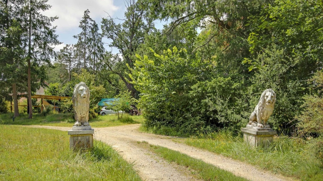 Photo of Outdoor in Raizeux