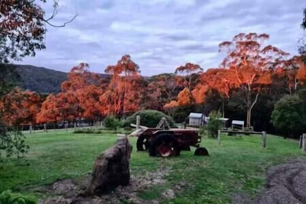 Photo of Outdoor in Pennyroyal