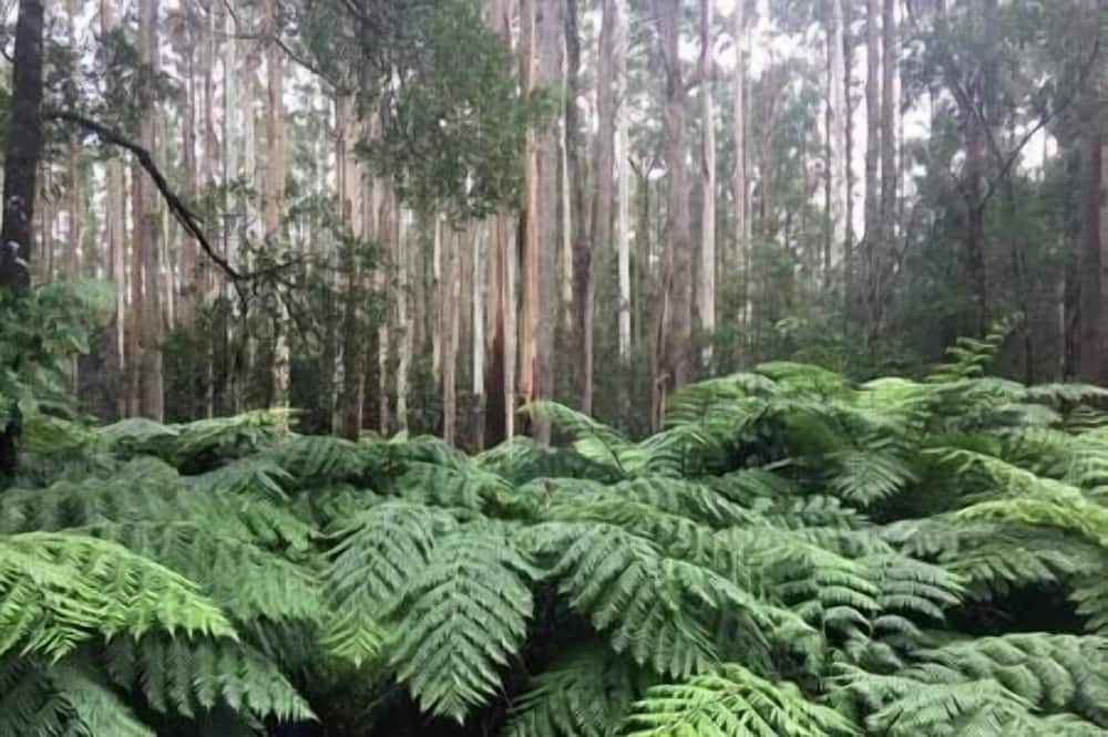Photo of Outdoor in Pennyroyal