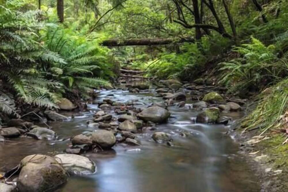 Photo of Outdoor in Pennyroyal