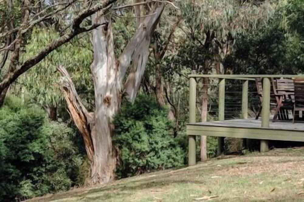 Photo of Others in Pennyroyal