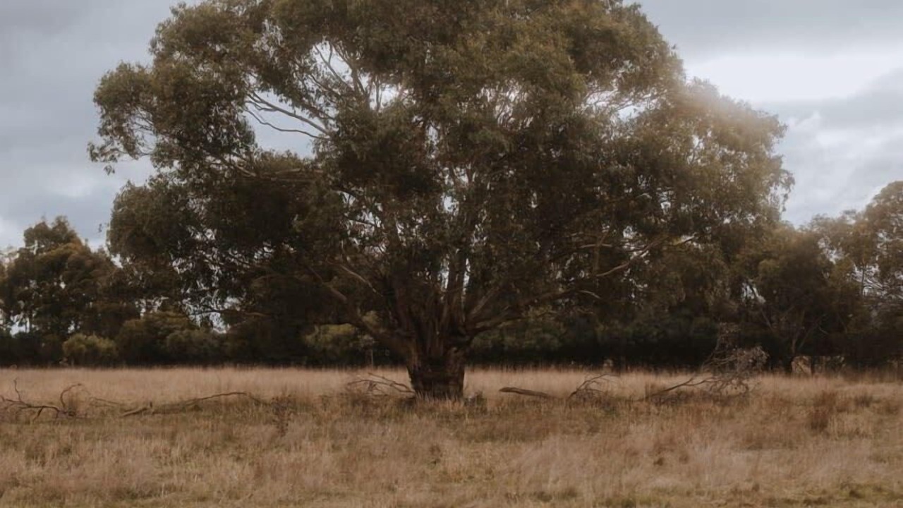 Photo of Outdoor in Springdallah