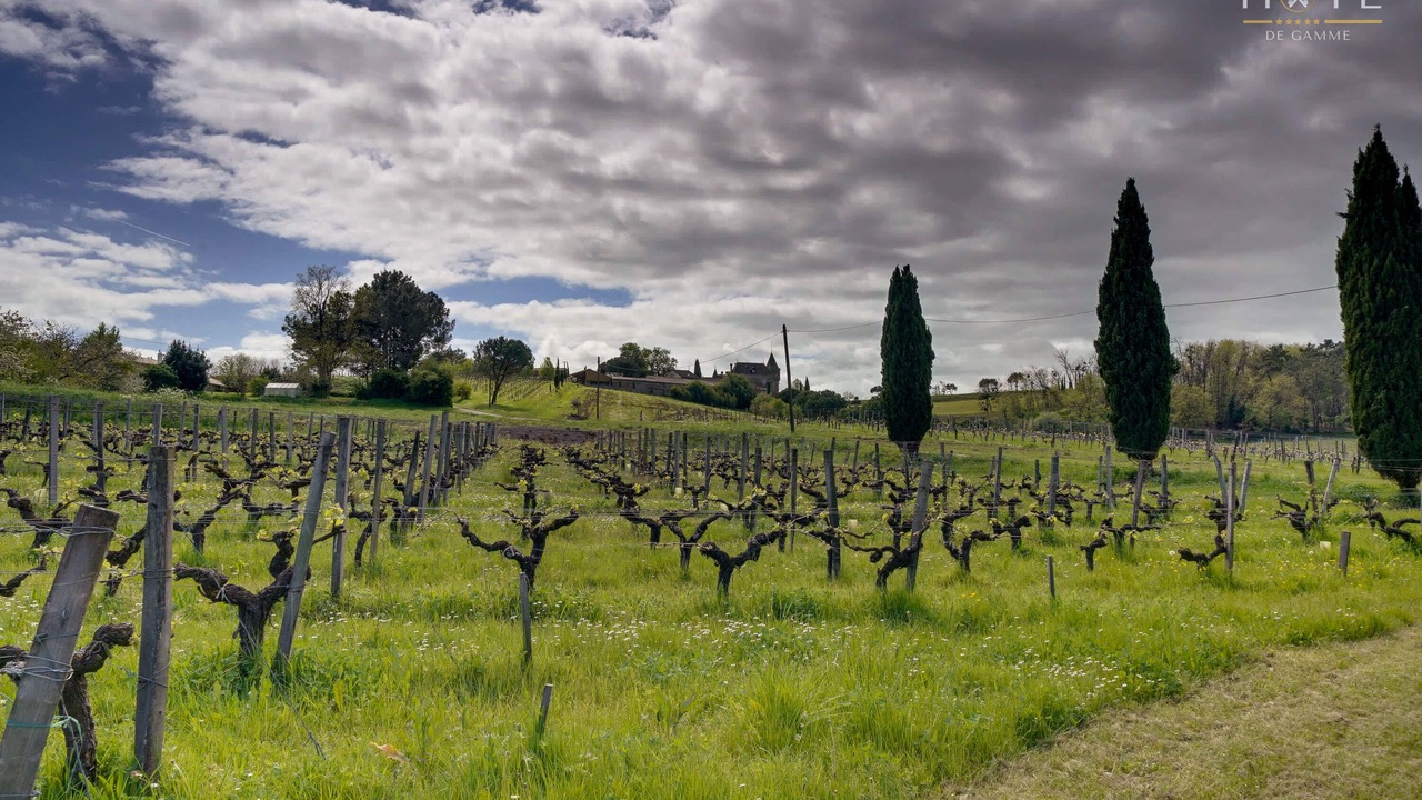 Photo of Others in Bourg-sur-Gironde