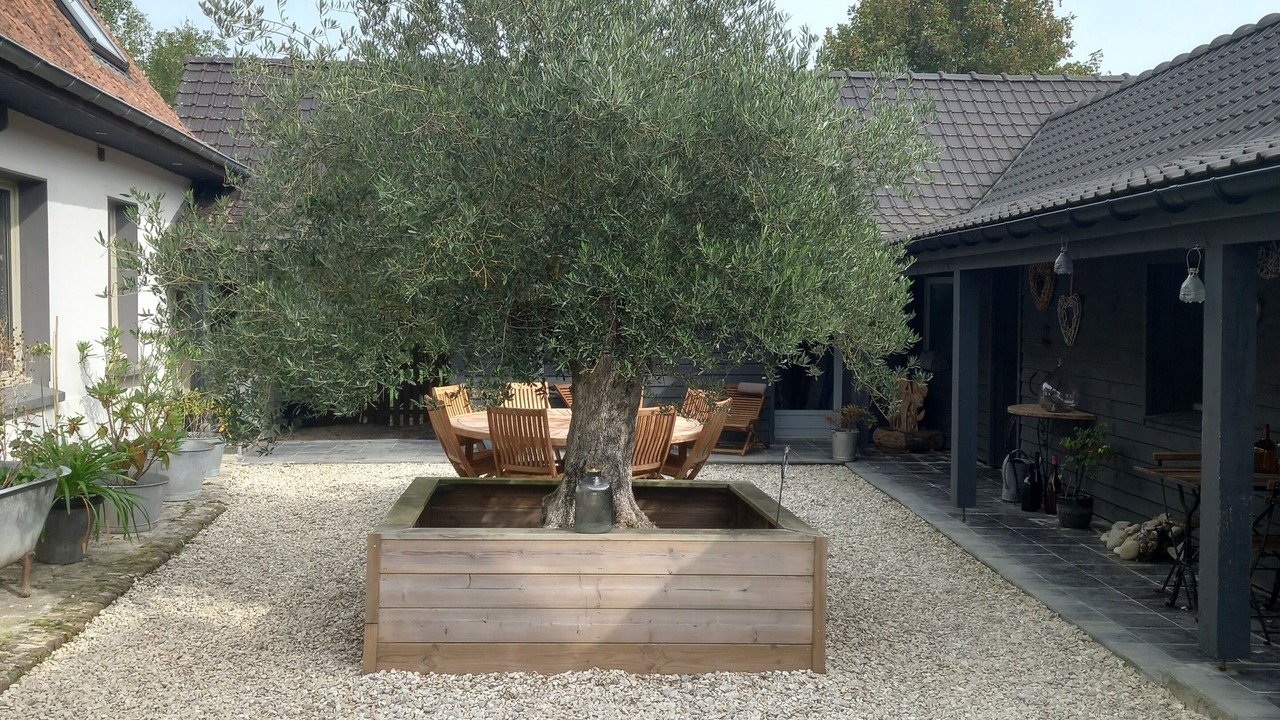 Photo of Outdoor in Verchocq