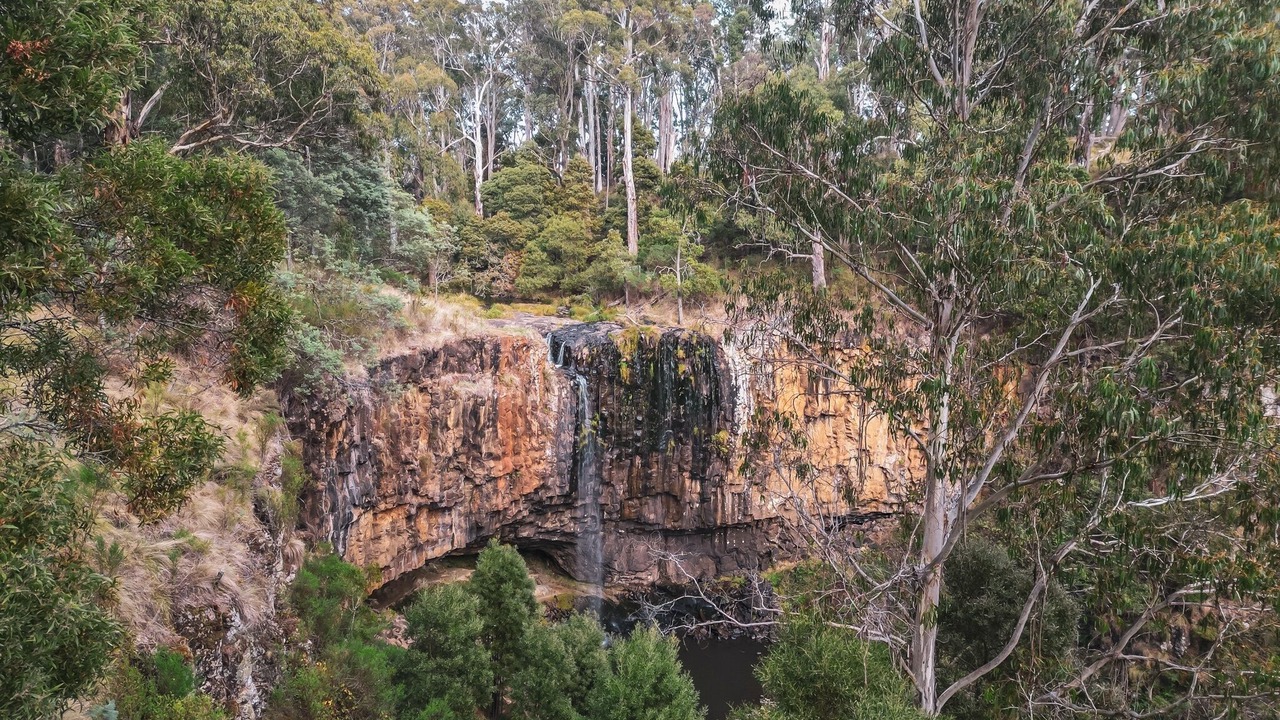 Photo of Outdoor in Spring Hill