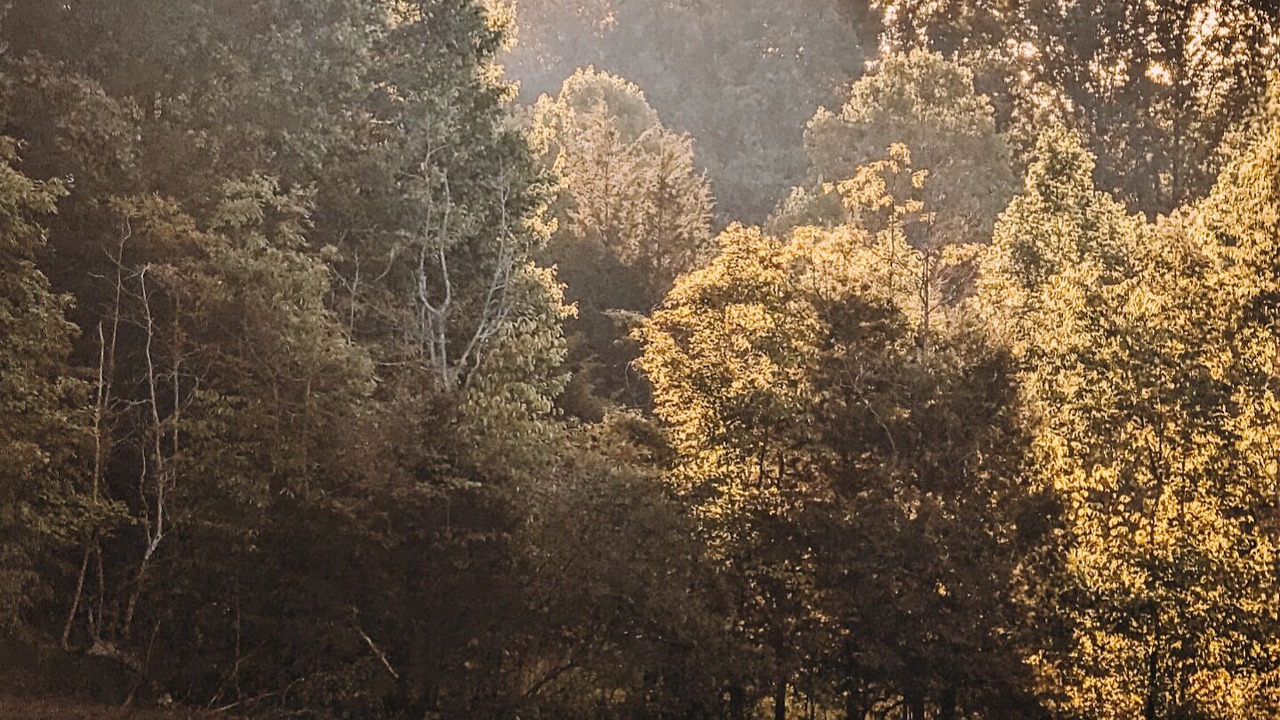 Photo of Outdoor in Fort Ritner