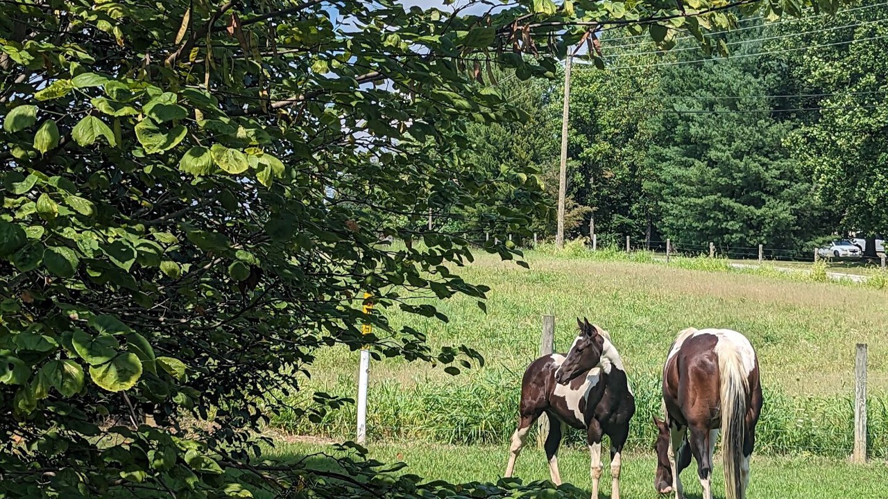Photo of Outdoor in Fort Ritner