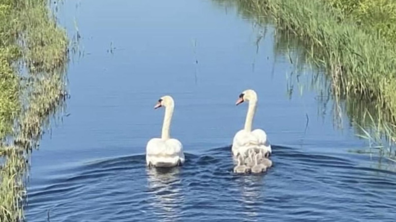 Photo of Bathroom in Seasalter