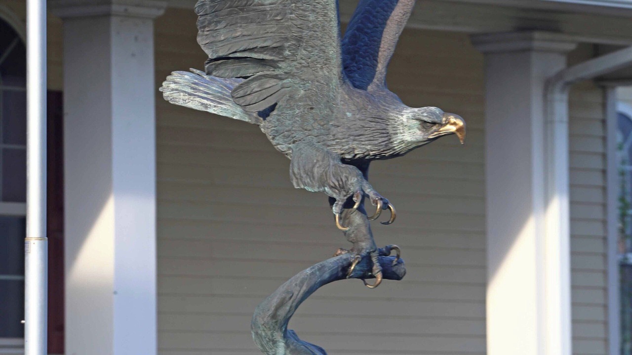 Photo of Outdoor in Skiatook