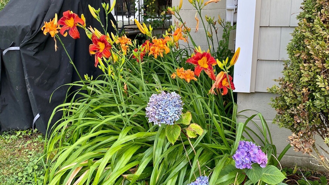 Photo of Outdoor in Reedville
