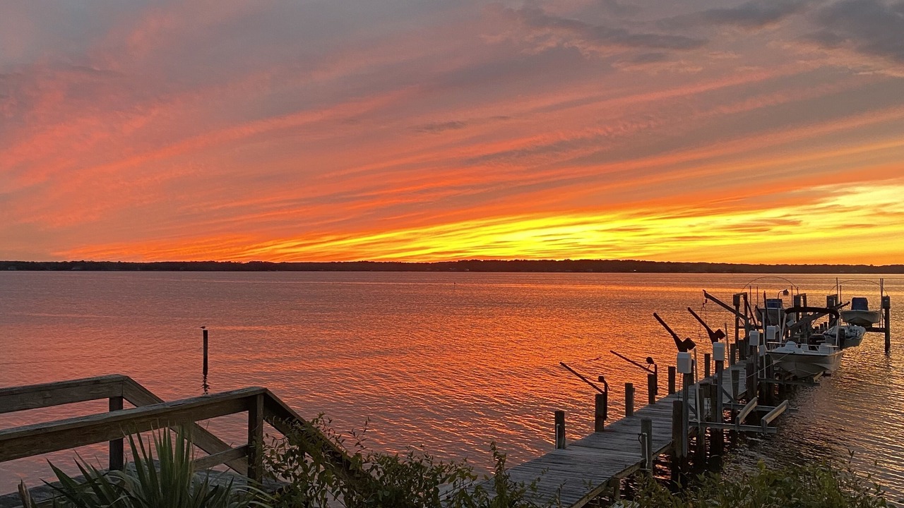 Photo of Others in Reedville