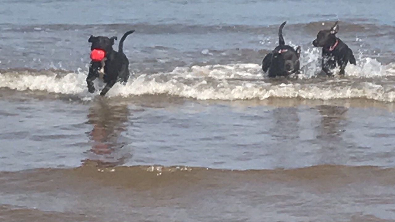 Photo of Others in Mablethorpe and Sutton