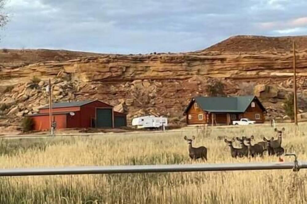 Photo of Outdoor in Gusher