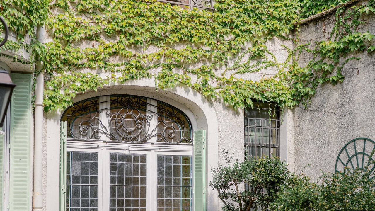 Photo of Outdoor in Thermal