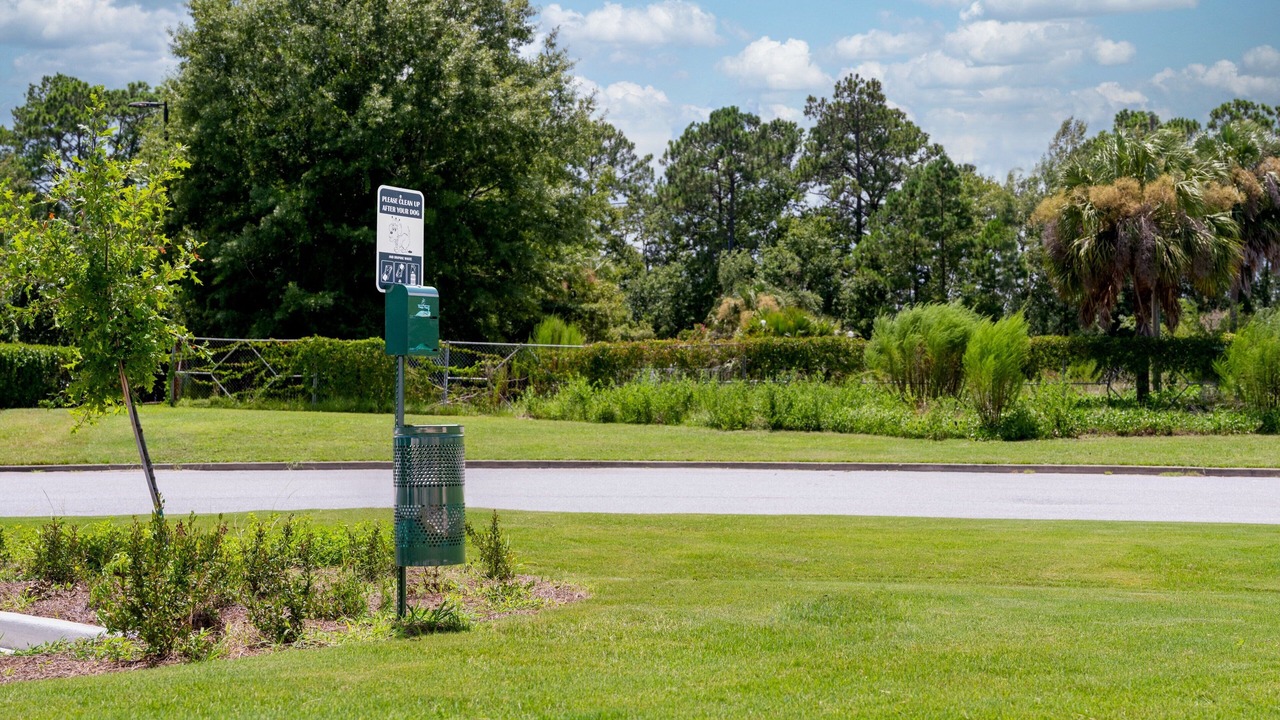 Photo of Others in Brunswick