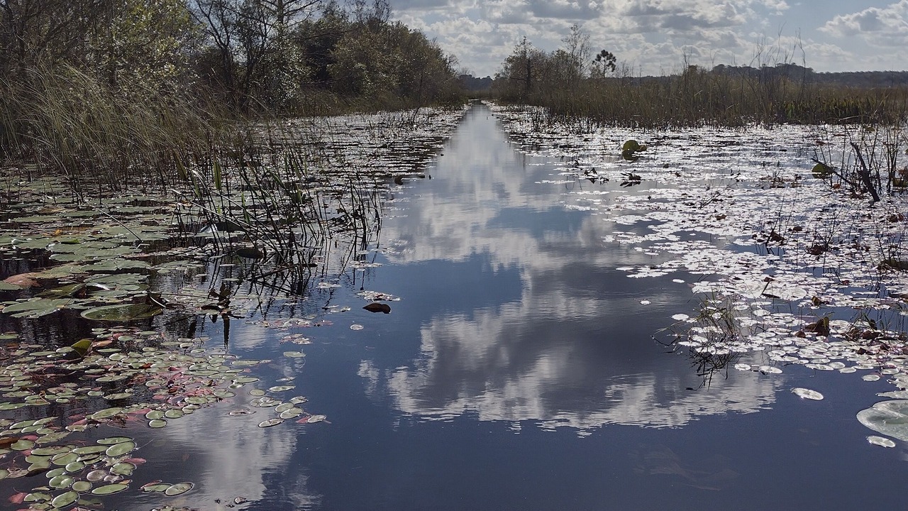 Photo of Others in Silver Springs