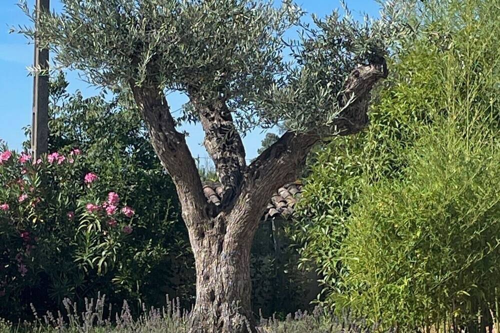 Photo of Outdoor in Bagard