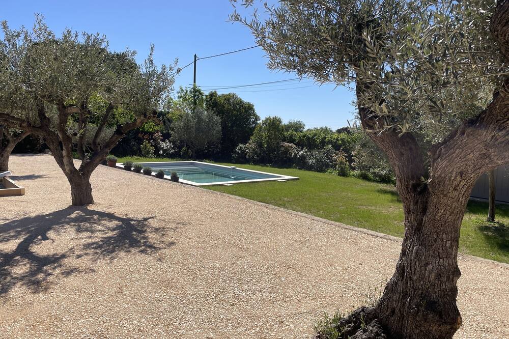 Photo of Others in Bagard