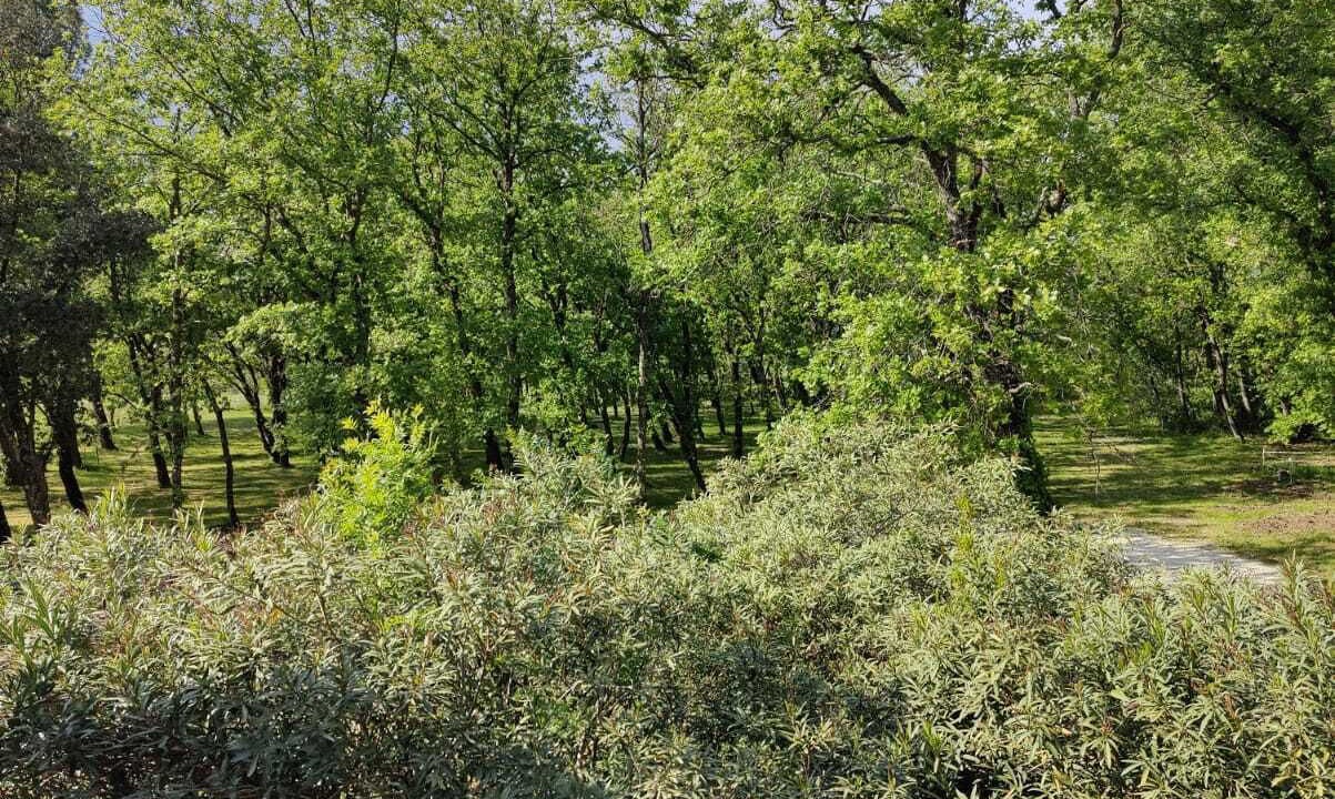 Photo of Outdoor in Chantemerle-les-Grignan