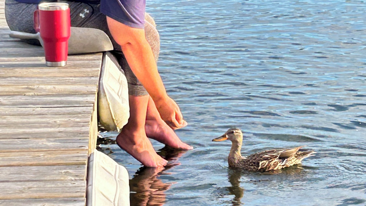 Photo of Others in Bobcaygeon