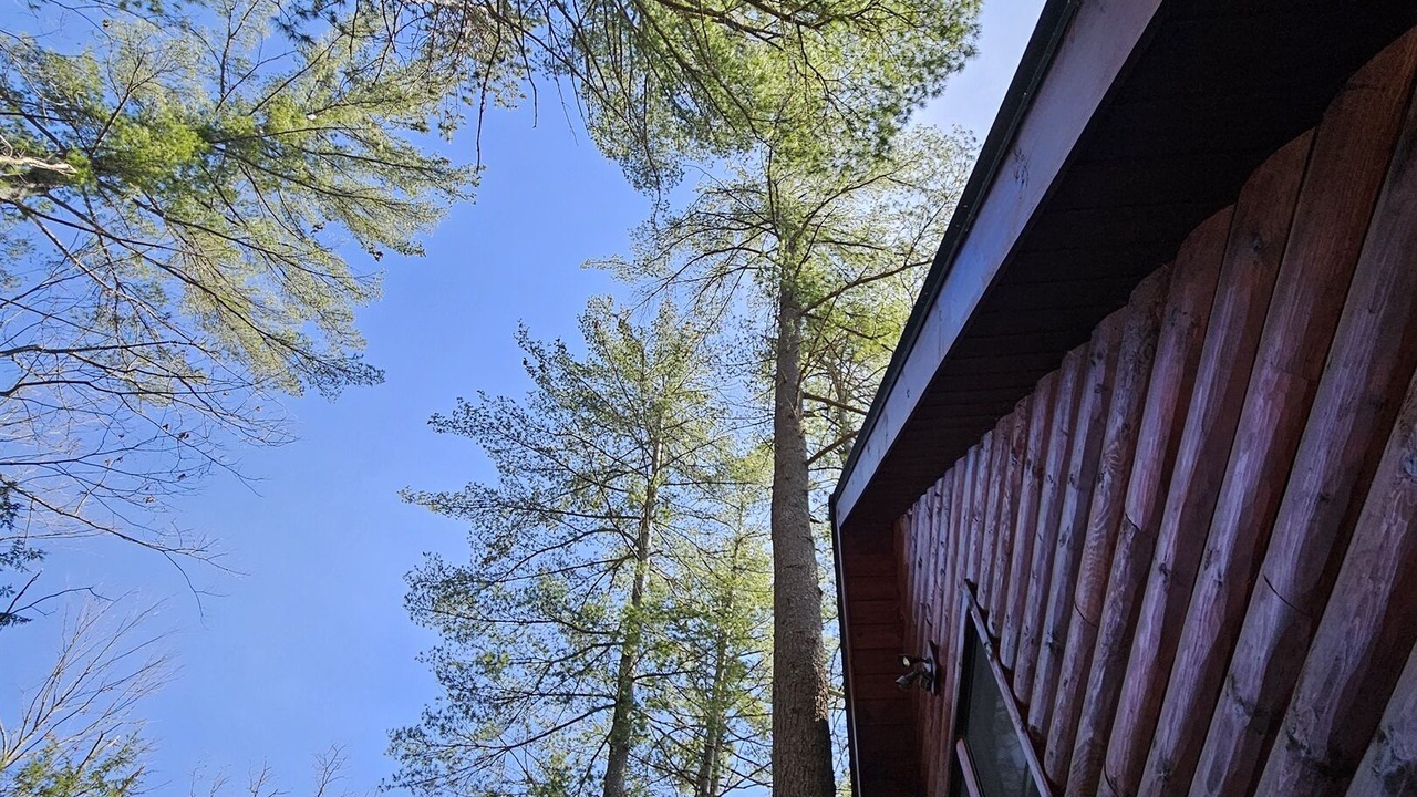 Photo of Outdoor in Schroon Lake