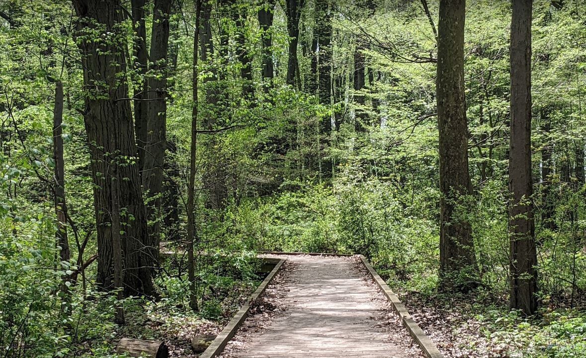 Photo of Outdoor in Ruthven