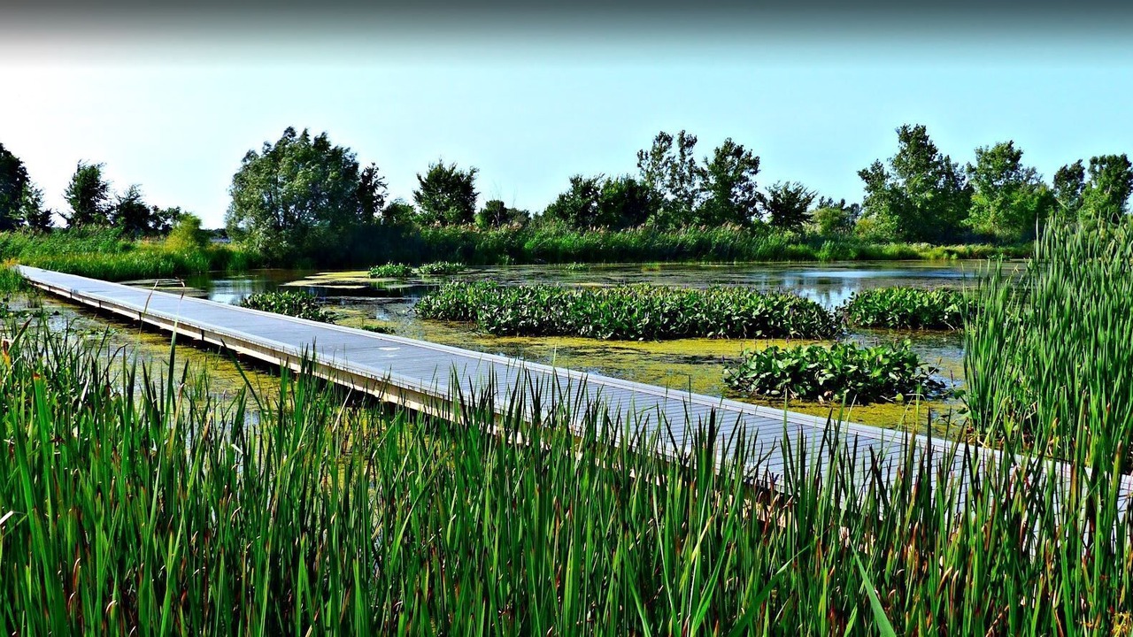 Photo of Outdoor in Ruthven