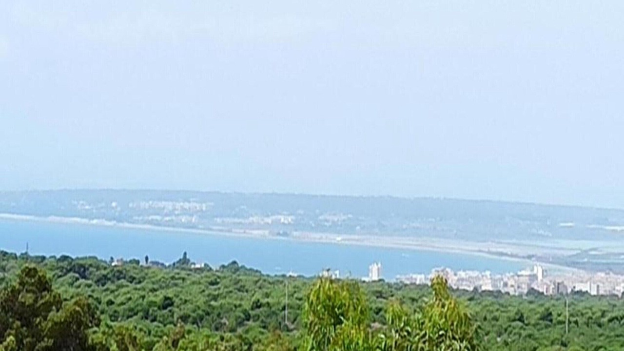 Photo of Others in Puerto Marino
