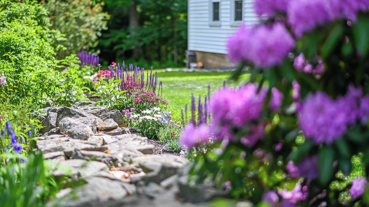 Photo of Outdoor in Cape Neddick