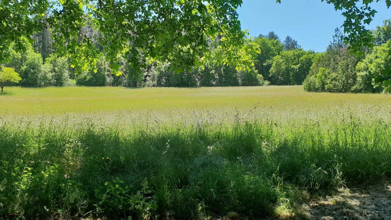 Photo of Outdoor in Vaillac