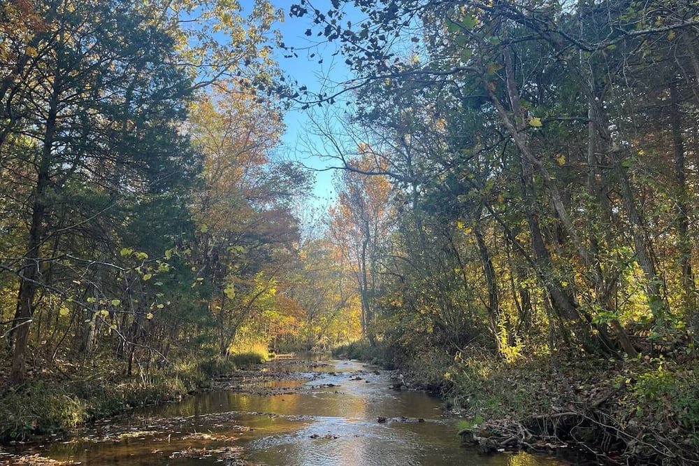 Photo of Outdoor in Cadet