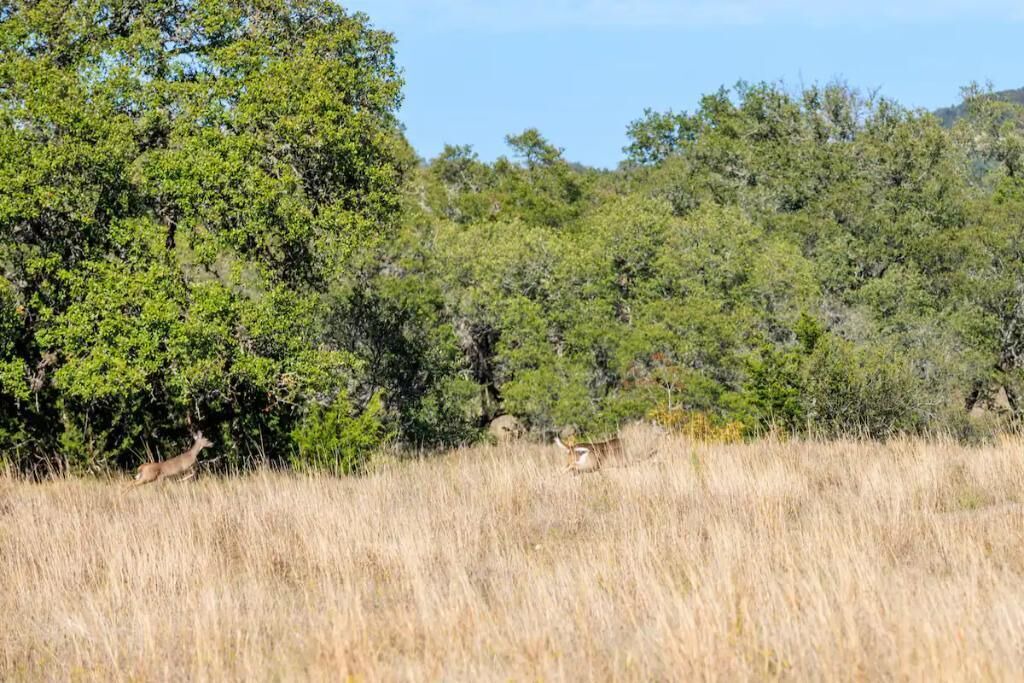 Photo of Others in Blanco