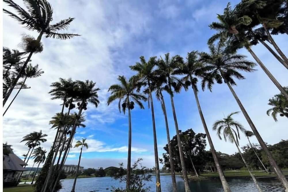 Photo of Others in Mountain View