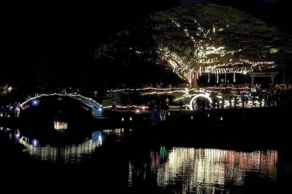 Photo of Others in Mountain View