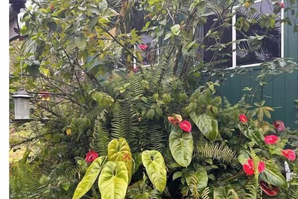 Photo of Others in Mountain View