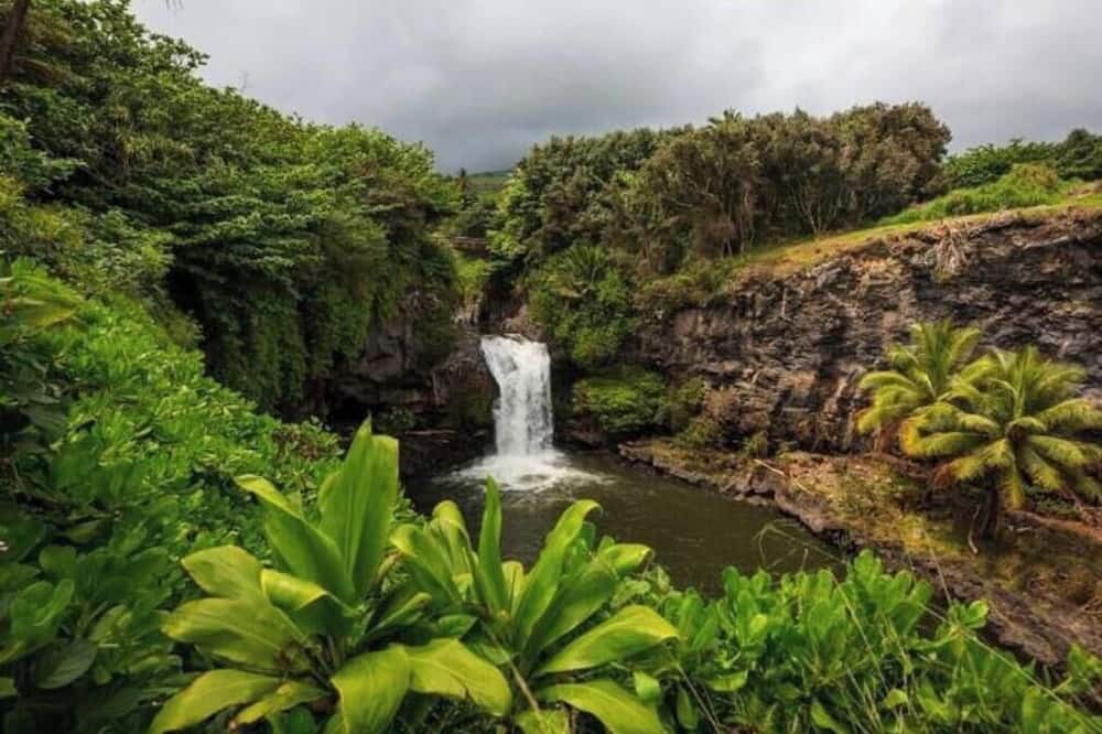 Photo of Outdoor in Mountain View