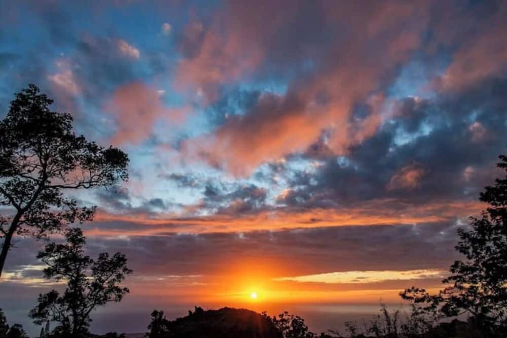 Photo of Others in Mountain View