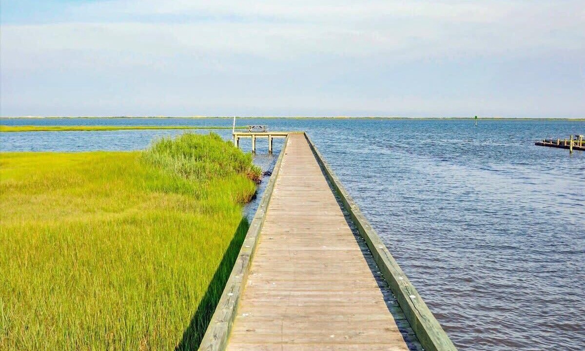 Photo of Others in Bayside