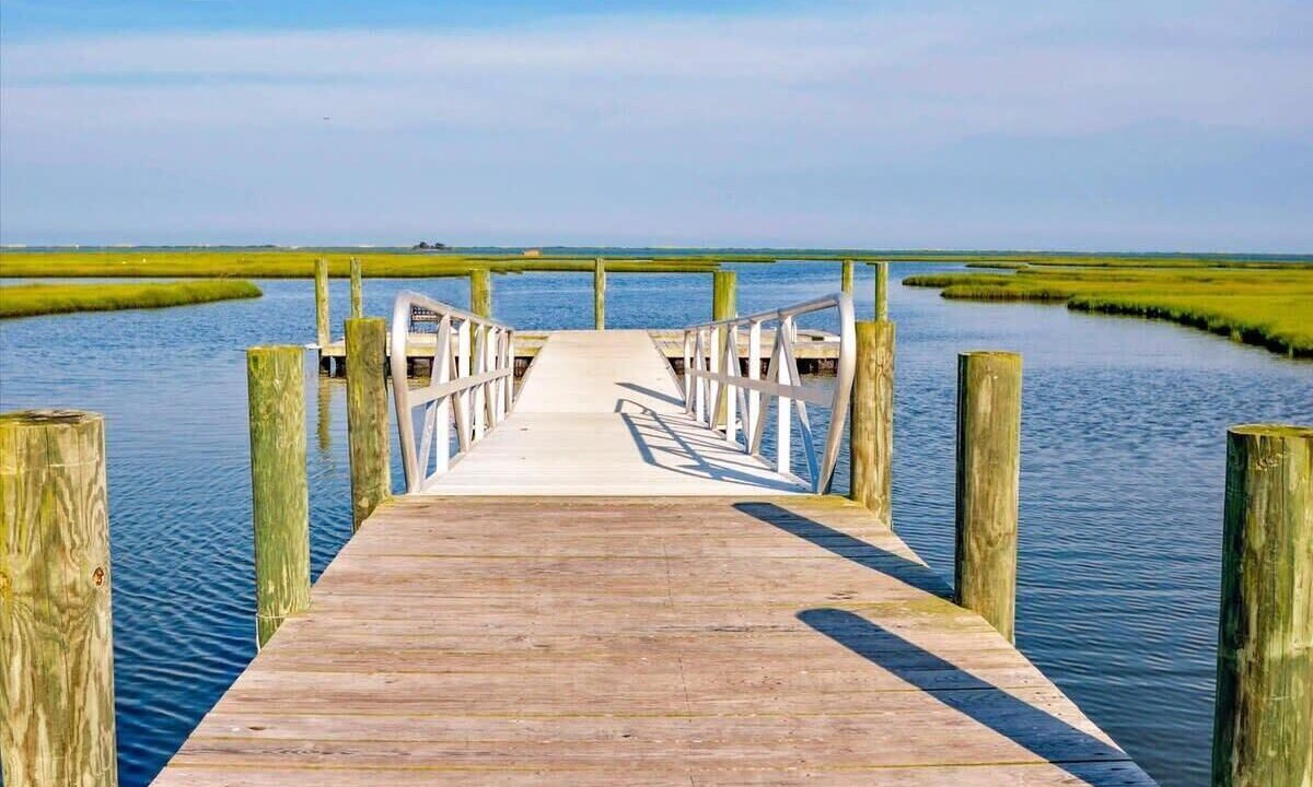 Photo of Others in Bayside