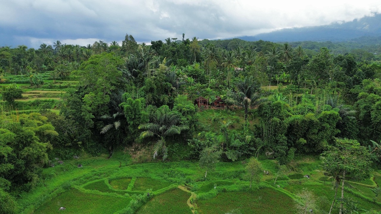 Photo of Outdoor in Tetebatu