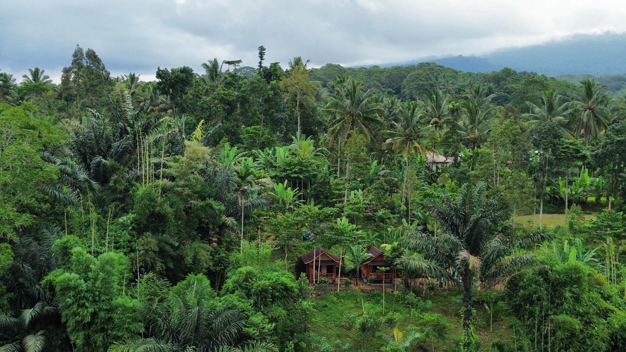 Photo of Others in Tetebatu