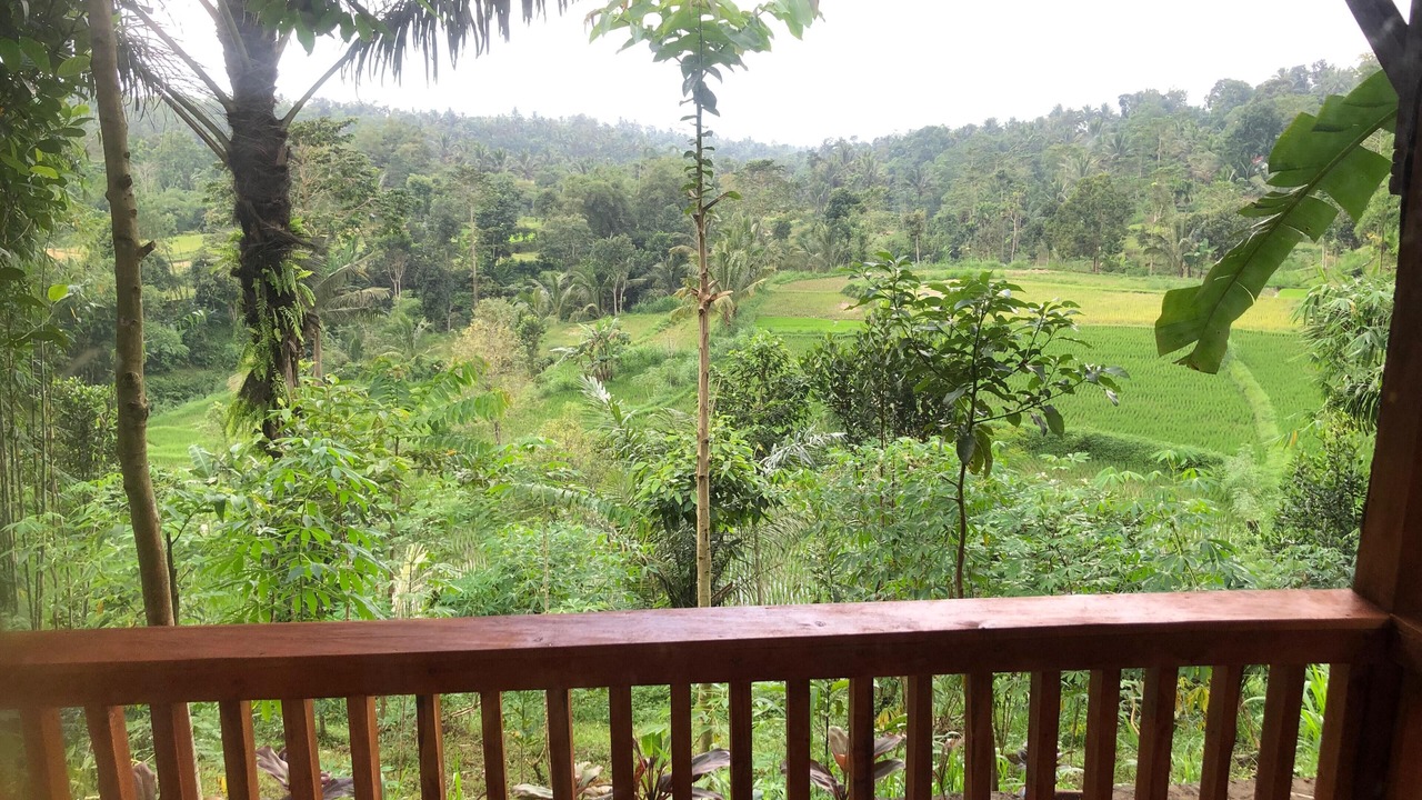 Photo of Outdoor in Tetebatu
