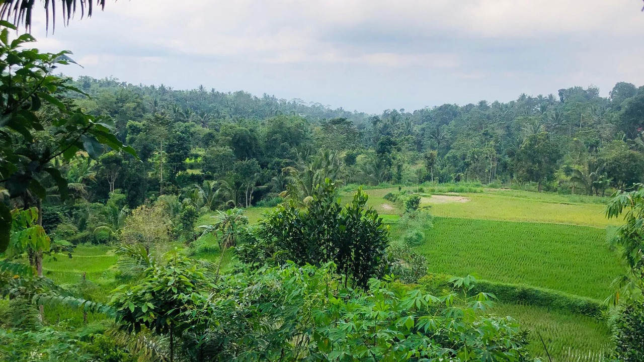 Photo of Bedroom in Tetebatu