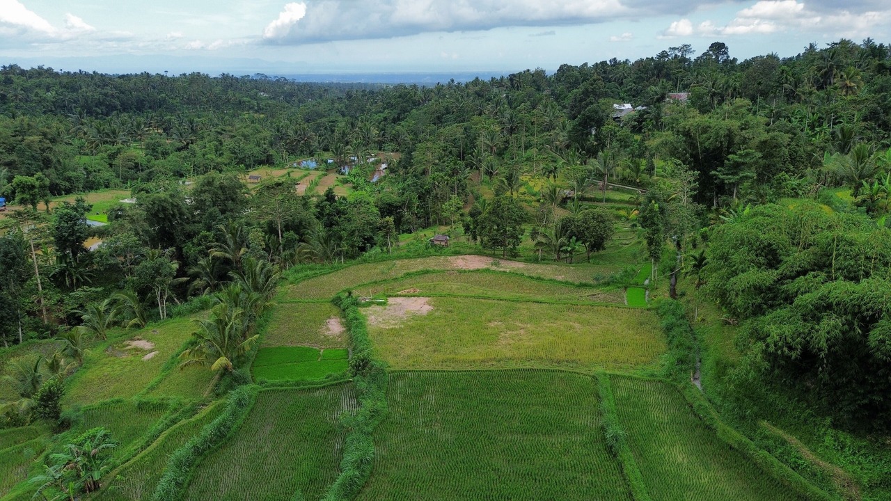 Photo of Outdoor in Tetebatu