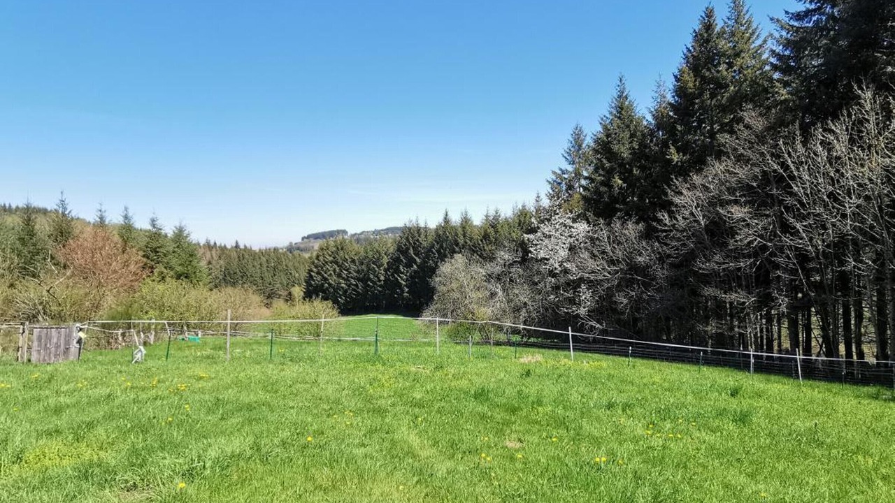 Photo of Others in Arfeuilles