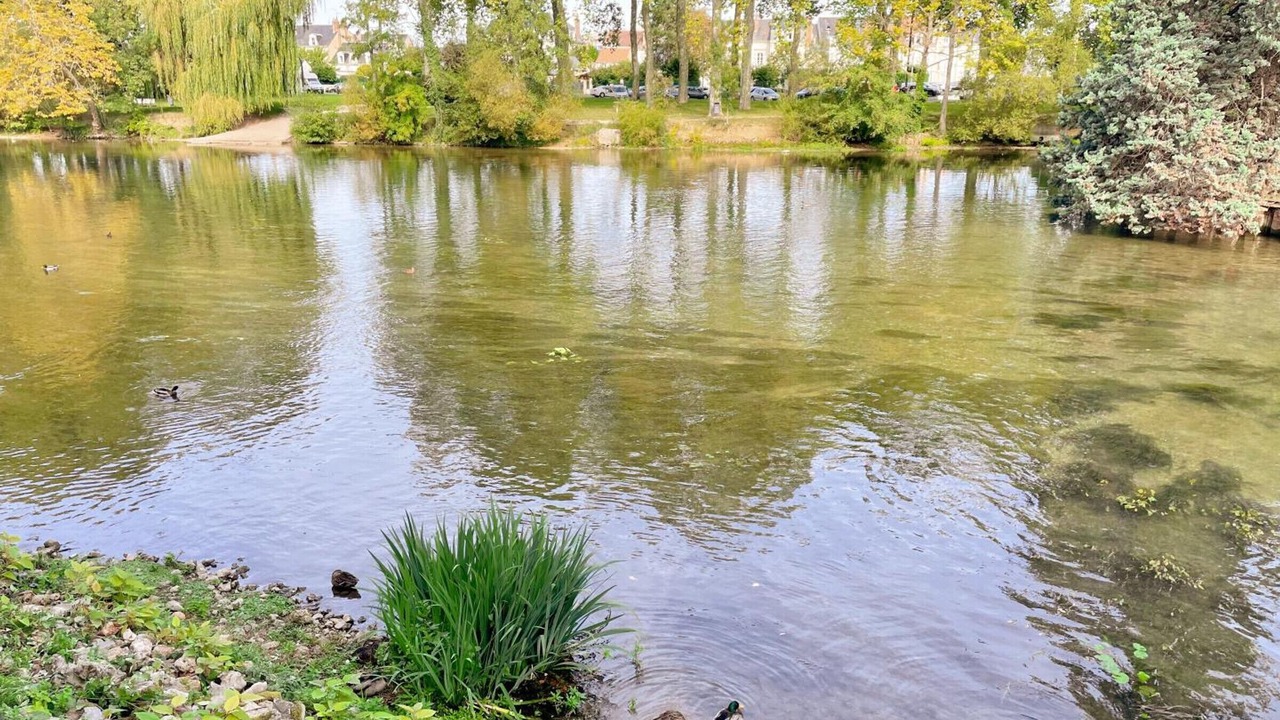 Photo of Others in Vendome