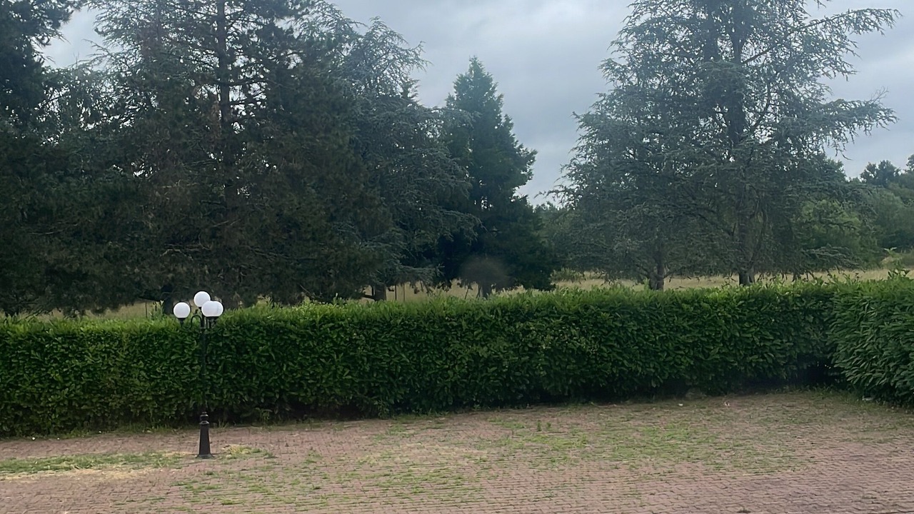 Photo of Outdoor in Virsac