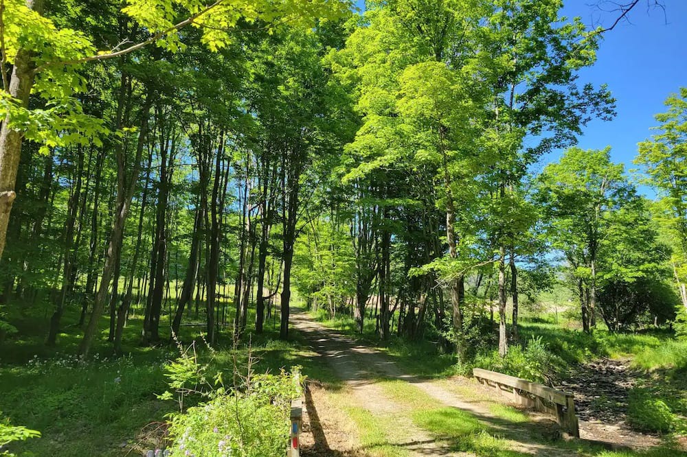 Photo of Outdoor in Westfield